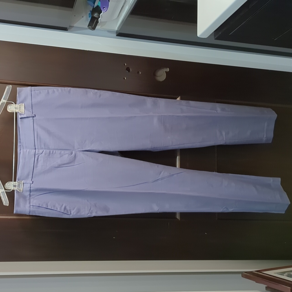Ann Taylor Factory Modern Fit pants 14